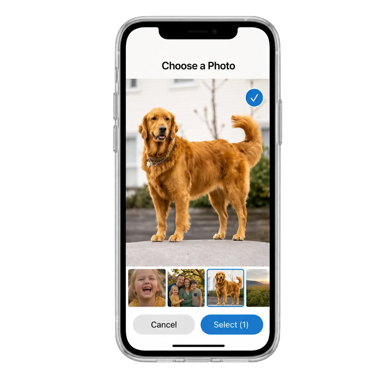 Upload Your Pet's Photo